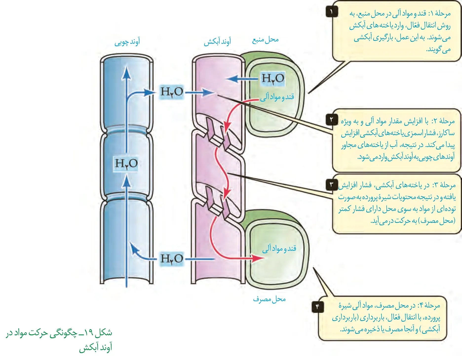 الگوی جریان فشاری در آبکش